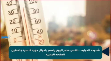 شديدة الحرارة.. طقس مصر اليوم يتسم بأحوال جوية قاسية وتعطيل الملاحة البحرية